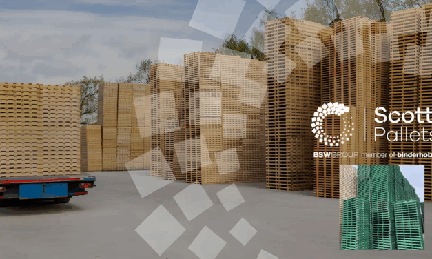Scott Pallets and The Pallet LOOP shortlisted for Supply Chain Excellence Award