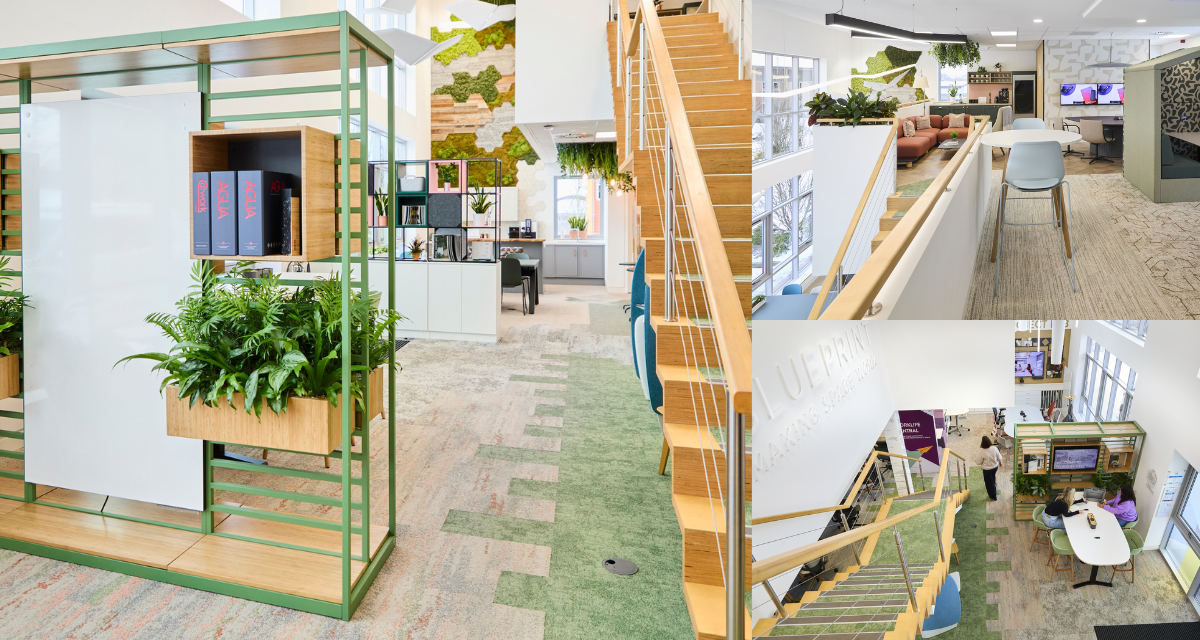 Blueprint Interiors HQ awarded WELL Certification