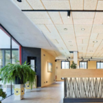 Positive impact, negative carbon: OWA launches new hemp straw ceiling tiles