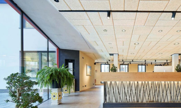 Positive impact, negative carbon: OWA launches new hemp straw ceiling tiles